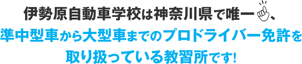 伊勢原自動車学校は神奈川県で唯一、大型からけん引まで、全てのプロドライバー免許を取り扱っている教習所です！